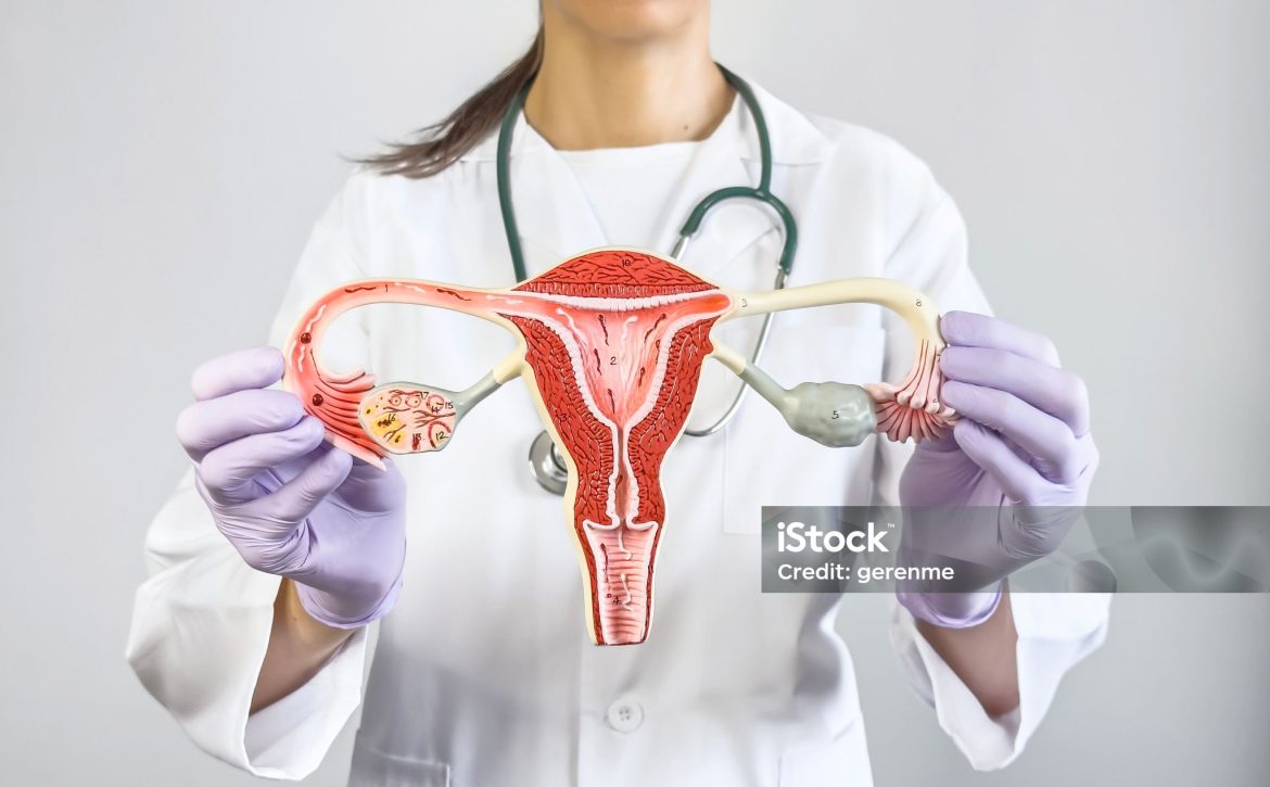 Gynecologist holding and showing an ovary model
